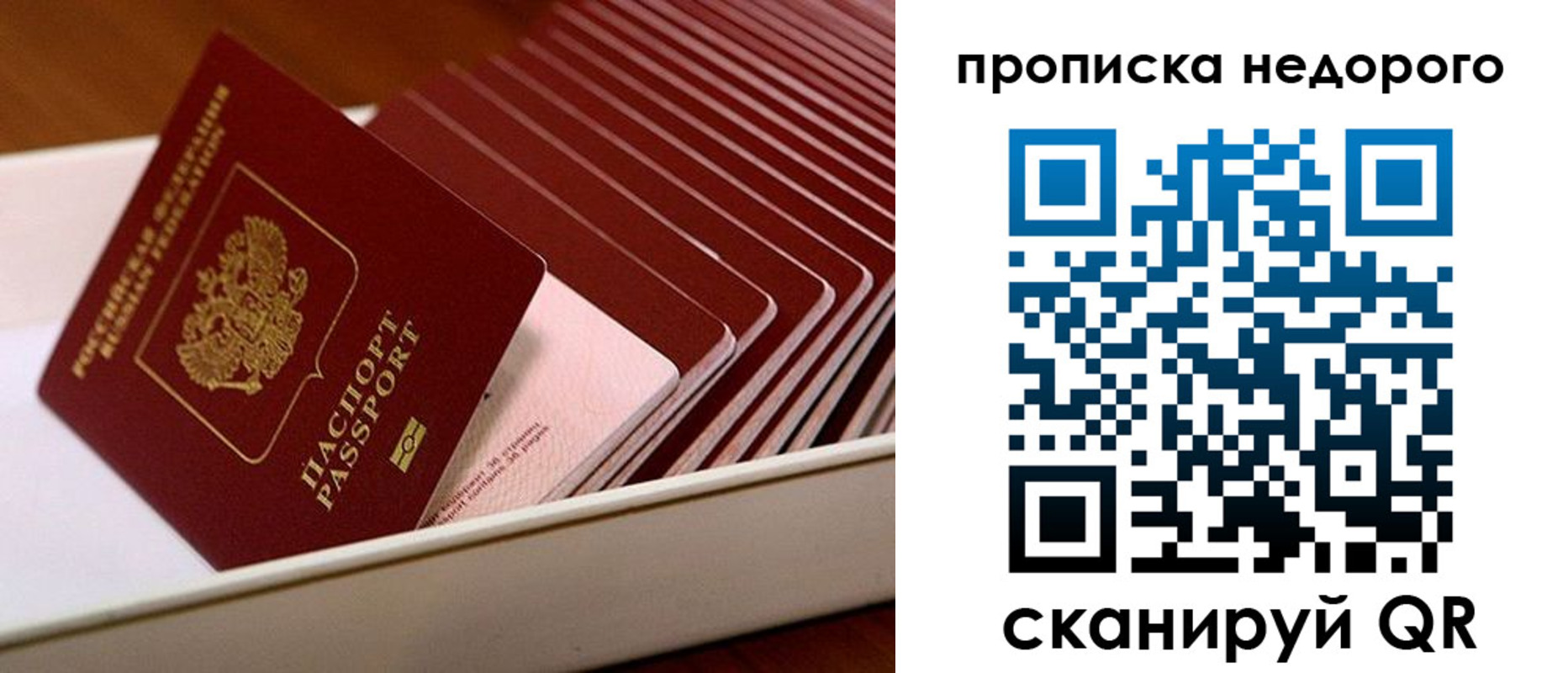 прописка паспорт в Видном